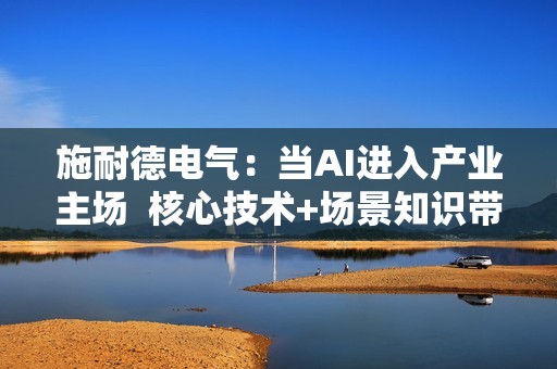 施耐德电气：当AI进入产业主场  核心技术+场景知识带来价值最大化