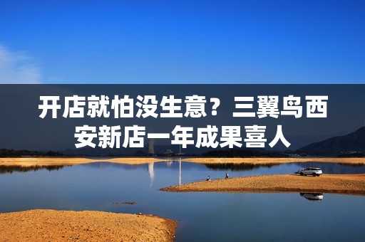 开店就怕没生意？三翼鸟西安新店一年成果喜人