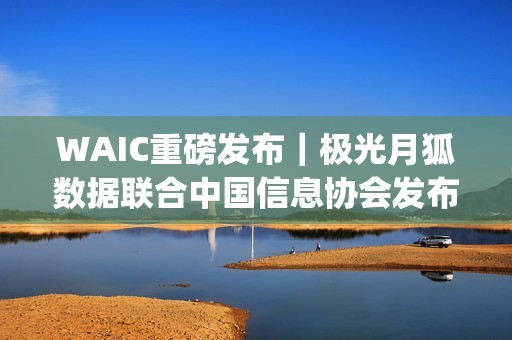 WAIC重磅发布｜极光月狐数据联合中国信息协会发布全球AI Agent报告