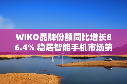 WIKO品牌份额同比增长86.4% 稳居智能手机市场第七