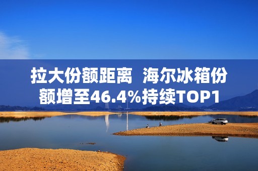 拉大份额距离  海尔冰箱份额增至46.4%持续TOP1
