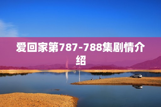 爱回家第787-788集剧情介绍