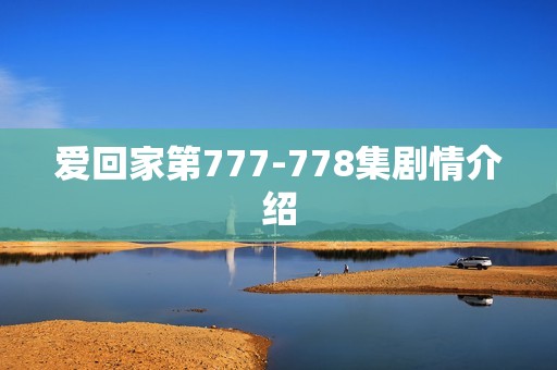 爱回家第777-778集剧情介绍