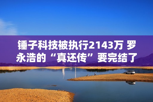 锤子科技被执行2143万 罗永浩的“真还传”要完结了