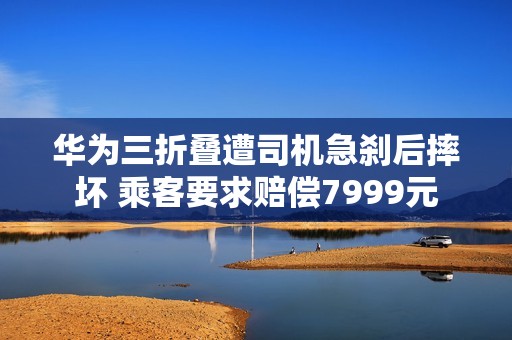 华为三折叠遭司机急刹后摔坏 乘客要求赔偿7999元