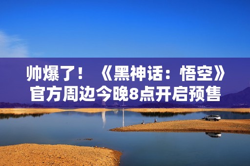 帅爆了！ 《黑神话：悟空》官方周边今晚8点开启预售