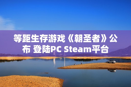 等距生存游戏《朝圣者》公布 登陆PC Steam平台