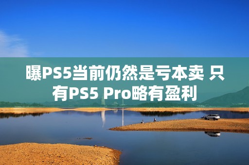 曝PS5当前仍然是亏本卖 只有PS5 Pro略有盈利