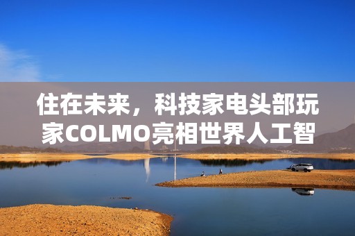 住在未来，科技家电头部玩家COLMO亮相世界人工智能大会2025