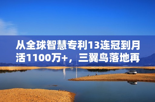 从全球智慧专利13连冠到月活1100万+，三翼鸟落地再加速