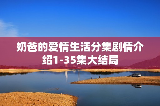 奶爸的爱情生活分集剧情介绍1-35集大结局