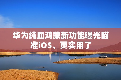 华为纯血鸿蒙新功能曝光瞄准iOS、更实用了