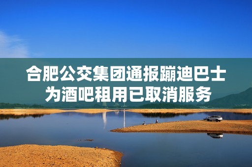 合肥公交集团通报蹦迪巴士 为酒吧租用已取消服务
