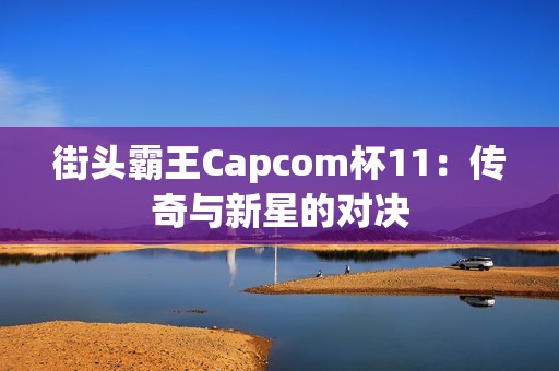 街头霸王Capcom杯11：传奇与新星的对决