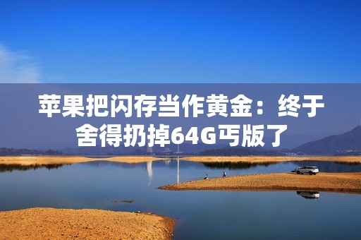 苹果把闪存当作黄金：终于舍得扔掉64G丐版了