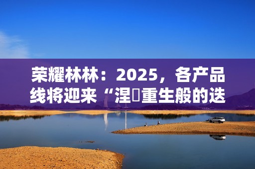 荣耀林林：2025，各产品线将迎来“涅槃重生般的迭代”
