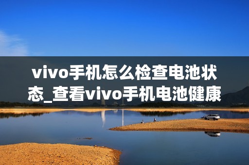 vivo手机怎么检查电池状态_查看vivo手机电池健康度的方法