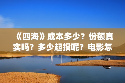 《四海》成本多少？份额真实吗？多少起投呢？电影怎么投资(四海剧情)