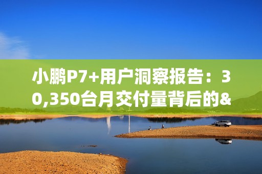 小鹏P7+用户洞察报告：30,350台月交付量背后的"油智同价"革命