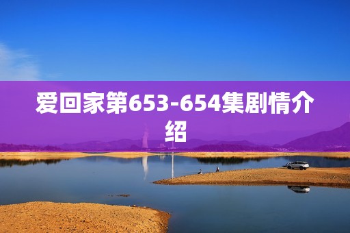 爱回家第653-654集剧情介绍