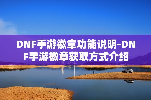 DNF手游徽章功能说明-DNF手游徽章获取方式介绍