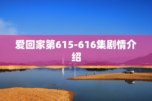 爱回家第615-616集剧情介绍