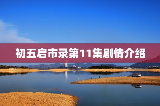 初五启市录第11集剧情介绍