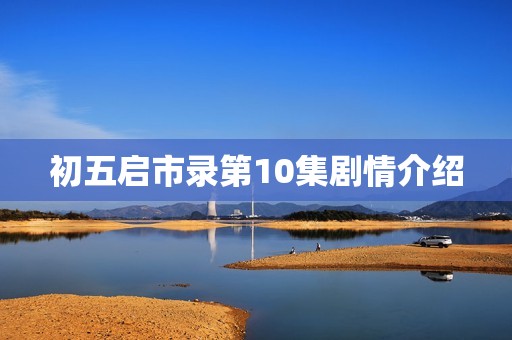 初五启市录第10集剧情介绍
