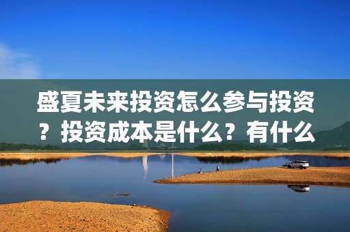 盛夏未来投资怎么参与投资？投资成本是什么？有什么风险？(盛夏未来能投吗)