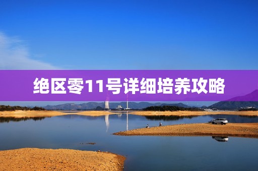 绝区零11号详细培养攻略