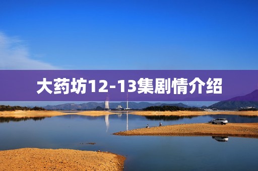 大药坊12-13集剧情介绍