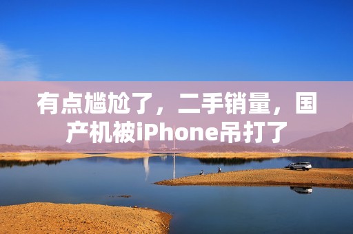有点尴尬了，二手销量，国产机被iPhone吊打了