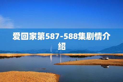 爱回家第587-588集剧情介绍