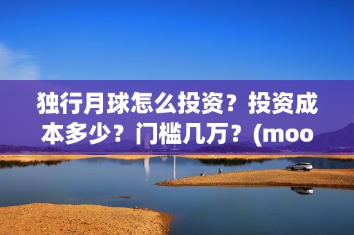 独行月球怎么投资？投资成本多少？门槛几万？(moonyou-独行月球)