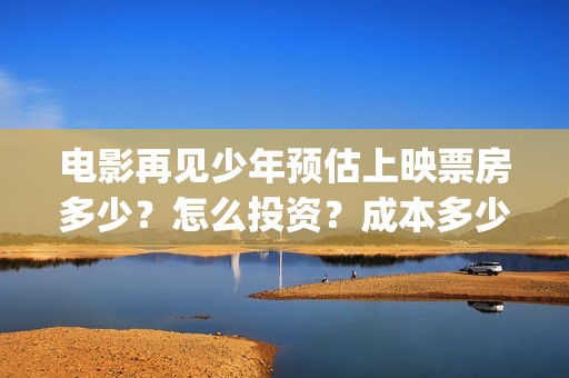 电影再见少年预估上映票房多少？怎么投资？成本多少(再见少年 预告片)