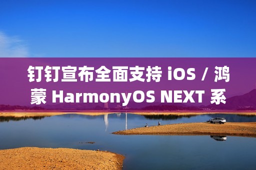 钉钉宣布全面支持 iOS / 鸿蒙 HarmonyOS NEXT 系统 CallKit 功能