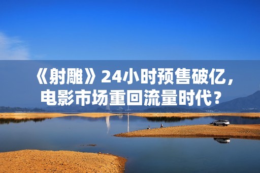 《射雕》24小时预售破亿，电影市场重回流量时代？