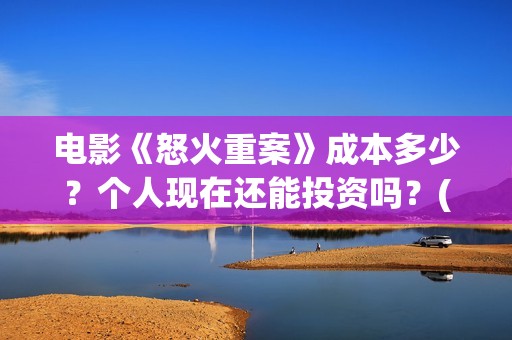 电影《怒火重案》成本多少？个人现在还能投资吗？(谢霆锋最新电影怒火重案)
