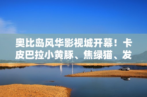 奥比岛风华影视城开幕！卡皮巴拉小黄豚、焦绿猫、发射小人、醒神仔春节好戏开演！