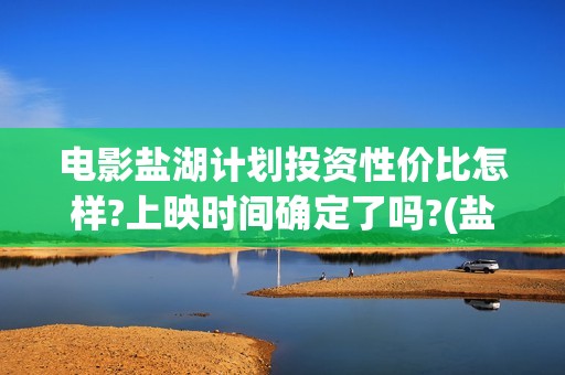 电影盐湖计划投资性价比怎样?上映时间确定了吗?(盐湖计划上映)