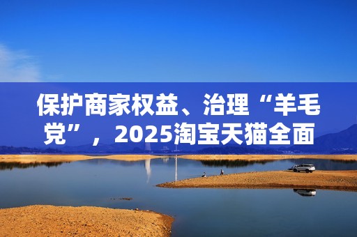 保护商家权益、治理“羊毛党”，2025淘宝天猫全面提升营商环境