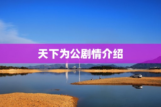 天下为公剧情介绍