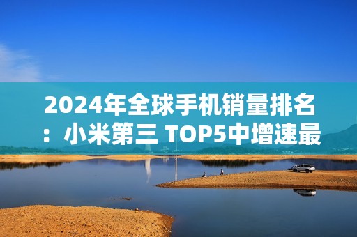 2024年全球手机销量排名：小米第三 TOP5中增速最快