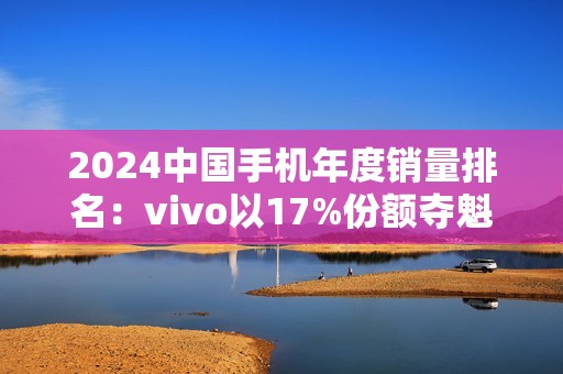 2024中国手机年度销量排名：vivo以17%份额夺魁 连续第4年国产第一 成功靠本分