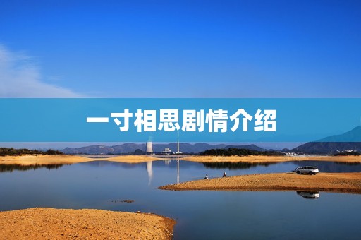 一寸相思剧情介绍