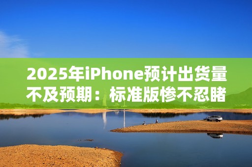 2025年iPhone预计出货量不及预期：标准版惨不忍睹 高刷升级迫在眉睫