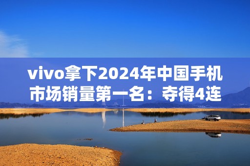 vivo拿下2024年中国手机市场销量第一名：夺得4连冠