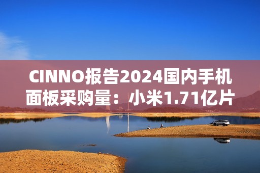 CINNO报告2024国内手机面板采购量：小米1.71亿片同比增21.7%、OPPO1.44亿片同比增3.5%
