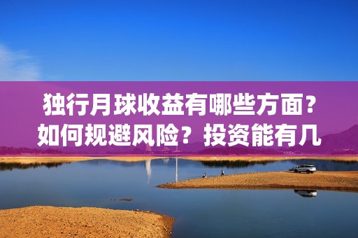 独行月球收益有哪些方面？如何规避风险？投资能有几倍的回报率？(独行月球百度百科)