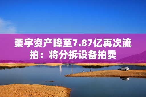 柔宇资产降至7.87亿再次流拍：将分拆设备拍卖